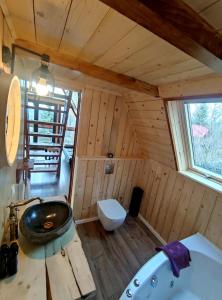 uma casa de banho com banheira e WC num quarto em Triangle House Parang em Petroşani