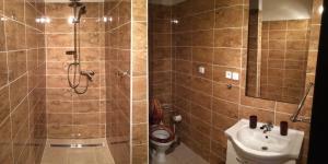 a bathroom with a shower and a sink and a toilet at Apartmán u Junků in Pernink