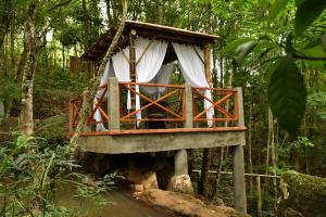 a tree house in the middle of a forest at Pousada Chão de Folhas SPA Boutique in Águas de Lindoia