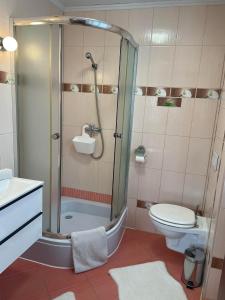 a bathroom with a shower and a toilet at Willa Omega in Zakopane