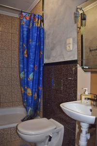 a bathroom with a toilet and a sink at Лісова казка in Slavske +51 photos