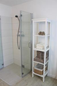 baño con cabina de ducha con puerta de cristal en Tant Berta´s Huus, en Krummhörn