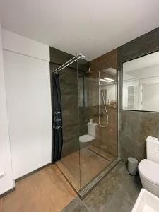 een badkamer met een douche en een toilet bij Adina Apartament in Gura Humorului