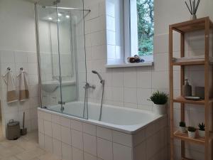 Kylpyhuone majoituspaikassa Apartmány Břachovna