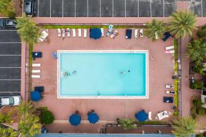 an overhead view of a large swimming pool with palm trees at Ocean Coast Hotel at the Beach Amelia Island in Fernandina Beach