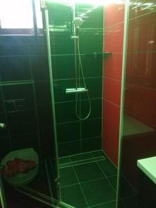 y baño con ducha de azulejos verdes y rojos. en Mátyás Apartman, en Tata