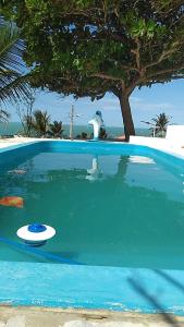 a bird standing in a swimming pool with a frisbee in the water at Pousada Chalés do Castelo in Icapuí