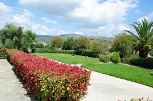 a row of red flowers in a park at Thea Studios in Finikounta