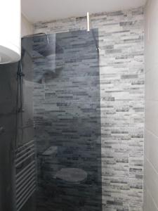 bagno con doccia e parete in pietra di Vila Onyx a Divčibare