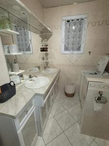 La salle de bains est pourvue de 2 lavabos et d'un miroir. dans l'établissement Appartement cosy style industriel, à Bourges
