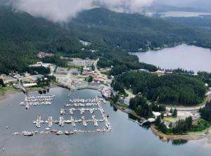 una vista aerea di un porto turistico con barche in acqua di Biker's Bungalow - Near Mendenhall Glacier and Auke Bay Offering DISCOUNT ON TOURS! a Mendenhaven Altre 10 foto