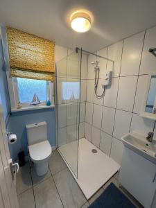 a bathroom with a shower and a toilet and a sink at Pebbles 144 South Shore 2 bed chalet 2 dog friendly, sleeps 4 in Bridlington