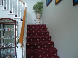 a staircase with a red star patterned carpet at Swisshouse Bed & Breakfast in Penticton