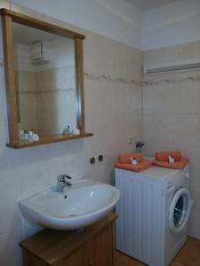 un bagno con lavandino e lavatrice di Ferienwohnung H 11 a Graal-Müritz