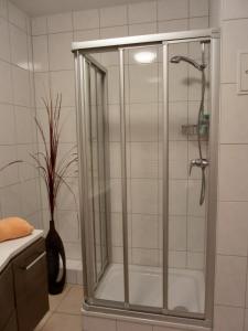a shower with a glass door in a bathroom at Ferienwohnung L36 in Graal-Müritz