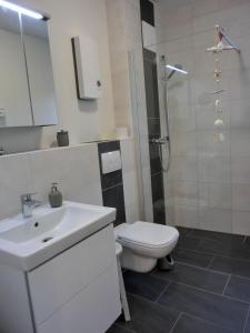 La salle de bains est pourvue de toilettes, d'un lavabo et d'une douche. dans l'établissement Ferienwohnung KWi 17 OG "Küsten-Koje", à Graal-Müritz