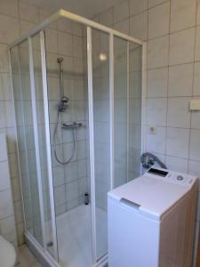 Koupelna v ubytování Ferienwohnung R22 + 13 fotografií
