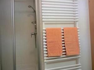 ein orangenes Handtuch auf einem Handtuchhalter im Bad in der Unterkunft Ferienwohnung E1 in Graal-Müritz
