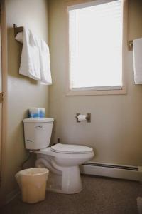 ein Bad mit einem weißen WC und einem Fenster in der Unterkunft Old School Lodge in Montrose