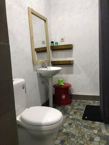 a bathroom with a toilet and a sink and a mirror at Saung Rancage Batukaras in Pangandaran
