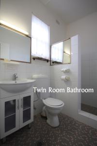 a bathroom with a toilet and a sink and mirror at Hi Way Motor Inn in Yass