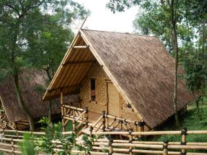 Budova, kde se penzion nachází + 80 fotografií