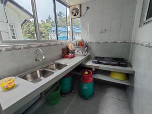 eine Küche mit einem Waschbecken und zwei Fenstern in der Unterkunft Desa Anthurium in Cameron Highlands