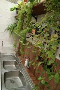 a kitchen sink with a bunch of plants above it at SEMERU HOSTEL MALANG in Malang