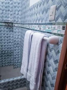 ein Badezimmer mit einer Dusche und Handtüchern auf einem Kleiderständer in der Unterkunft Full apartment independent entrance, services included in Lima