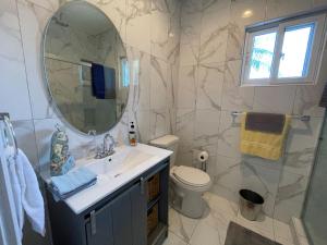 uma casa de banho com um lavatório, um espelho e um WC. em Nicoles Nest Brand New Exquisite Studio Hideaway em Freeport