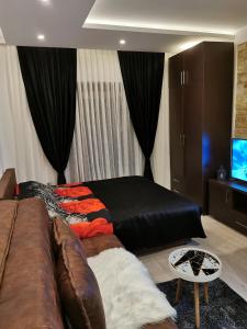 ein Wohnzimmer mit einem Sofa und einem TV in der Unterkunft Kopaonik apartmani NR in Kopaonik
