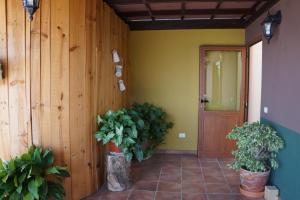 Fotografie z fotogalerie ubytování Casa Lagarto v destinaci El Paso