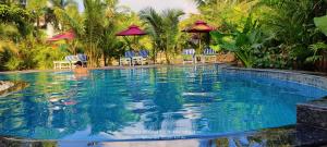 巴加的住宿－小印度海灘旅館，度假酒店游泳池内的人