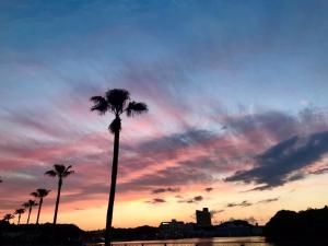 Φυσικό τοπίο κοντά σε αυτό το ξενοδοχείο