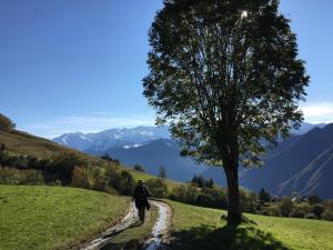 Galería fotográfica de chambre et table d'hôtes La Grande Ourse en Sauveterre de Comminges