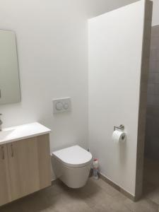 ein weißes Bad mit einem WC und einem Waschbecken in der Unterkunft Bramming gæstehus in Bramming