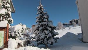 Residence VAL DAZUR VALBERG 2 PIECES v zimě