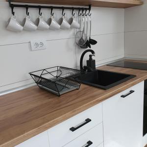 Kuchyňa alebo kuchynka v ubytovaní Apartman Zlatni breg Divčibare