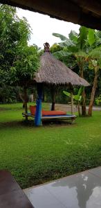 Giardino di Mango Tree Inn