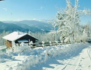 une maison recouverte de neige à côté d'une clôture dans l'établissement Ferienhaus in Niederösterreich mit 3 Apartments mitten im Wald, à Feichtenbach