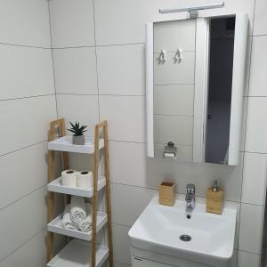 Kúpeľňa v ubytovaní Apartman Zlatni breg Divčibare