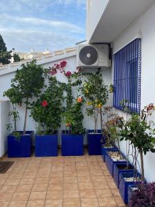 Zahrada ubytování Casa Perro Andaluz