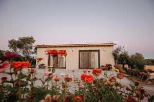 Сад в AIORA villas