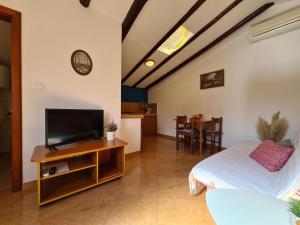 a living room with a bed and a television at Apartmani Dorma in Vidulini
