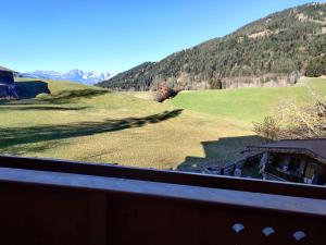 Blick auf ein grünes Feld und einen Berg in der Unterkunft Appartements Berger Kitzbühel in Kitzbühel