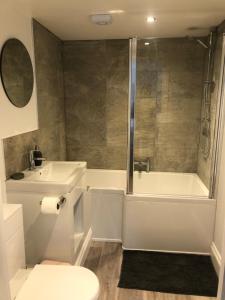 a bathroom with a toilet and a tub and a sink at The Prince of Wales Bed and Breakfast in Princetown