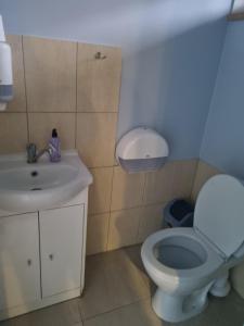 Afbeelding uit fotogalerij van Pakalnės vingis in Rusnė