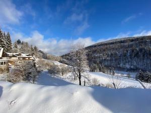 Landhotel Baumwipfel v zimě