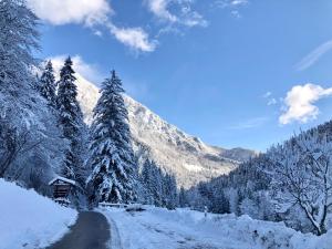 una carretera cubierta de nieve con árboles y montañas en Govc-Vršnik en Solčava