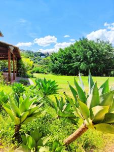 Taman di luar Pousada Villa Magna - Suite